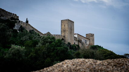 ruins of the castle