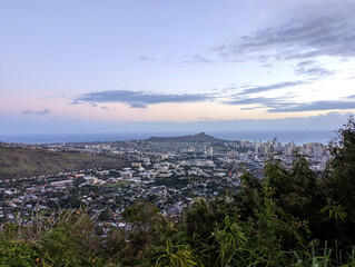 lavender field at sunset