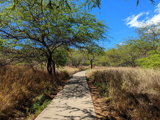 path in the countryside