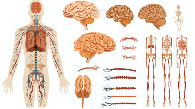 Peripheral Subsystem