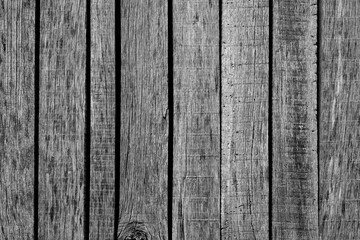 Natural pattern background with gray wood texture
