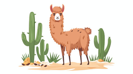 Charming llama cria or alpaca isolated on white background