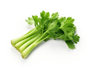 Fresh Celery Isolated on white background