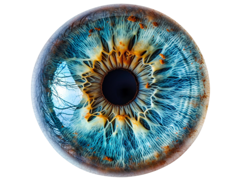 Isolated eyeball