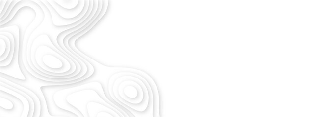 White paper cut decoration textured with wavy layers 3d topography relief background. Abstract white paper cut banner. Geometric layered curve line white vector background.	