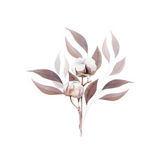  A set of hand drawn watercolor cotton and lavender illustrations. Botanical art for your postcard, notebook or other stationery design. Floral bouquet. 