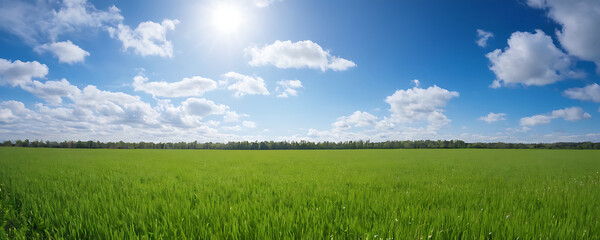 A vast, lush green field stretches towards the horizon under a bright blue sky dotted with fluffy white clouds