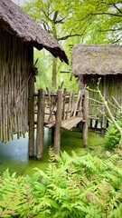 old wooden house  in the marshes