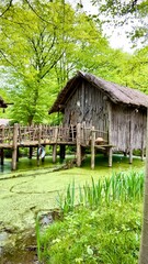 old wooden house  in the marshes