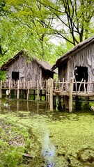old wooden house  in the marshes