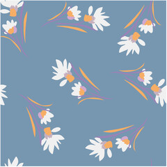 biometric, flower, pink, nature, isolated, spring, beauty, summer, daisy, plant, flowers, bloom, blossom, flora, floral, white, chrysanthemum, petal, yellow, purple, bouquet, macro, cosmos, closeup, g