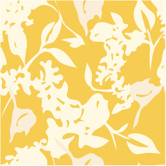 biometric, flower, pink, nature, isolated, spring, beauty, summer, daisy, plant, flowers, bloom, blossom, flora, floral, white, chrysanthemum, petal, yellow, purple, bouquet, macro, cosmos, closeup, g