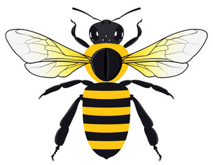 Honey Bee