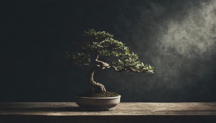  bonsai tree on rustic table, against dark background copy space - Powered by Adobe