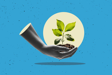Flat art design. Humand hand holding a young plant against free png background. Sustainable...