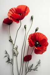 Obraz premium Three red flowers on white surface