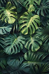 Fototapeta premium A close up of a bunch of green leaves on a wall