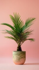 A plant in a pot sitting on a table