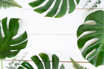 Tropical leaves, summer vacational background