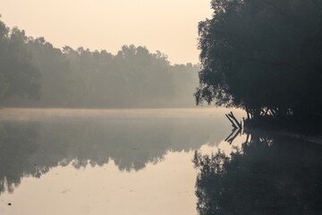 Scene of early winter morning at Sundarbans.this photo was taken from Sundarbans National...