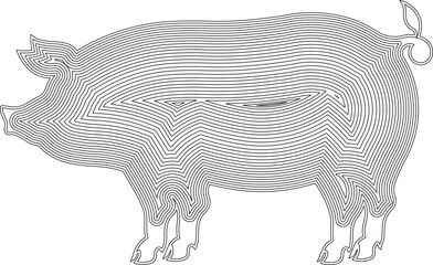 Sketch illustration vector drawing art animal design of pig with artistic painting on body