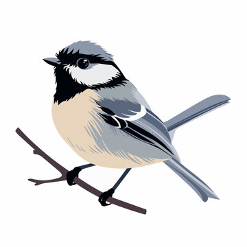 recommend clip art: Titmouse in cartoon, doodle style. Image for t-shirt, web, mobile apps and ui. Isolated 2d vector illustration in logo, icon, sketch style, Eps 10. AI Generative