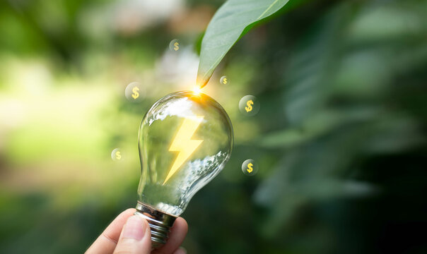 Hand holding light bulb ideas on a background. Together with the conservation of alternative energy and alternative energy. Clean energy business.