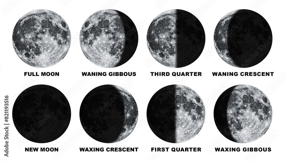Wall mural phases of the moon with label isolated on transparent background