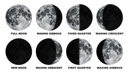 Phases of the Moon With Label Isolated on Transparent Background
