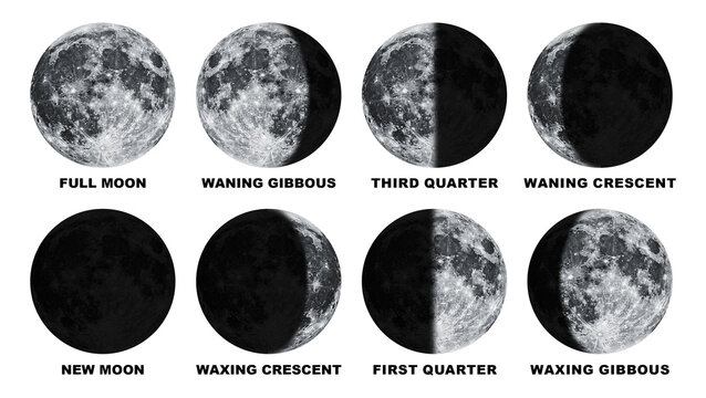 Phases of the Moon With Label Isolated on Transparent Background
