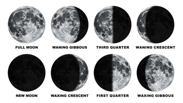 Phases of the Moon With Label Isolated on Transparent Background
 - Powered by Adobe
