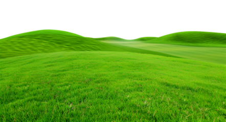 Golf Course Landscape Isolated on Transparent Background
