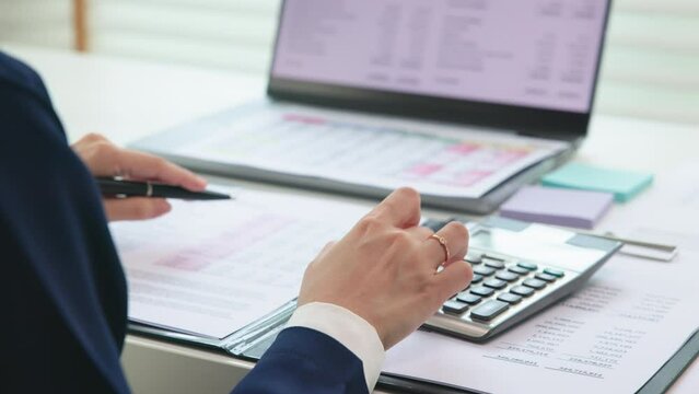 Internal Tax audit review checking ESG data risk in balance sheet prepare annual report GAAP IFRS IAS service. Income growth Cash flow budget work number control wealth for trader system merger study.