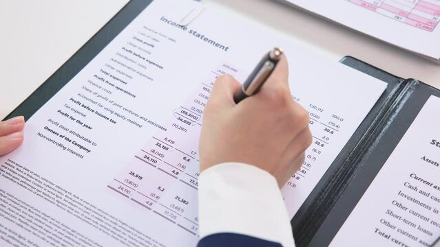 Internal Tax audit review checking ESG data risk in balance sheet prepare annual report GAAP IFRS IAS service. Income growth Cash flow budget work number control wealth for trader system merger study.