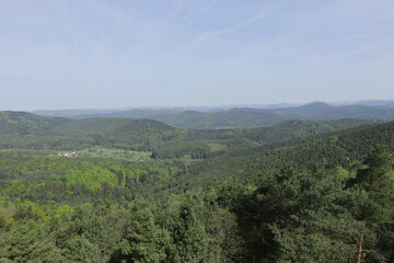 Blick über den Pfälzer-Wald bei Bad Bergzabern