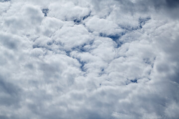 White cumulus clouds in a blue sky in sunlight, top view; Close-up heavenly landscape with white clouds, top view; Clouds top view