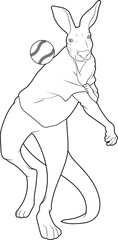 Kangaroo Baseball Animal Vector Graphic Art Illustration