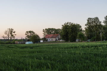 Widok gospodarstwa rolnego na mazurach © fafikowiec