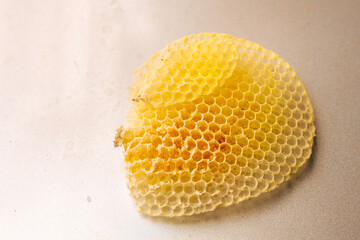 A yellow honeycomb filled with honey on a wall background.