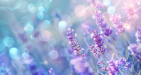 aqua and lavender background 