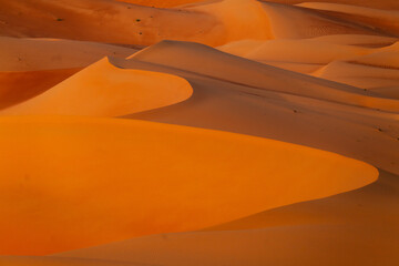 Dunes in the desert II