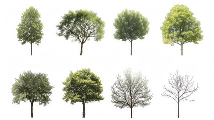 Assortment of eight isolated trees on white background, showcasing different species and shapes suitable for architectural renderings and design elements.