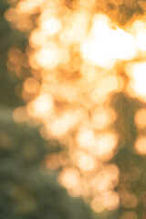 Sunlight Filters Through Green Leaves in a Forest: A Natural, Blurry Bokeh Background Highlights the Bright, Abstract Beauty of Sunlit Foliage on a Summer Day, Emphasizing Earth's Vibrant Colour