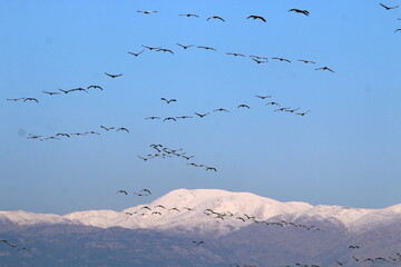 Snow lies on Mount Hermon in northern Israel.
