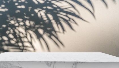 blank minimal white counter podium soft beautiful dappled sunlight tropical palm foliage leaf shadow on wall for luxury hygiene organic cosmetic skincare beauty treatment product background 3d