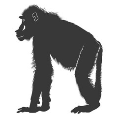 Silhouette Baboon animal black color only