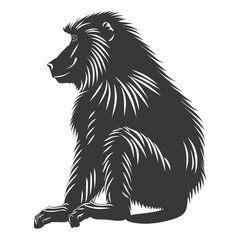 Obraz premium Silhouette Baboon animal black color only