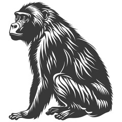 Silhouette Baboon animal black color only