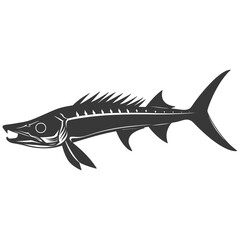 Obraz premium Silhouette Barracuda animal black color only