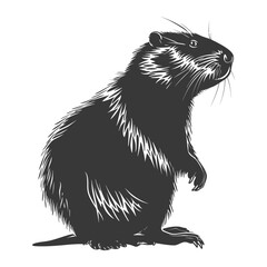 Obraz premium Silhouette beaver animal black color only